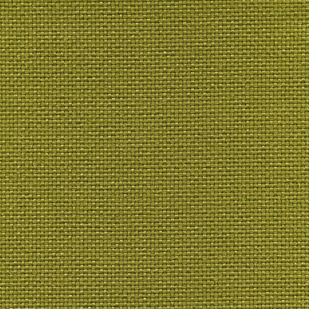 Moss