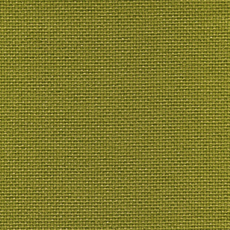 Moss
