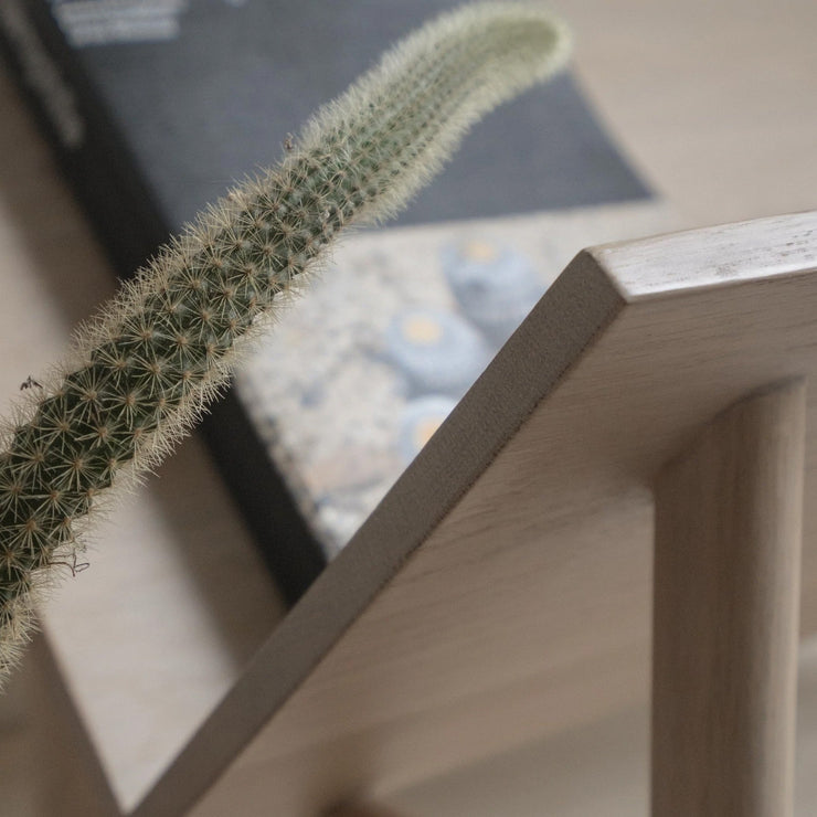 Rise Book Stand