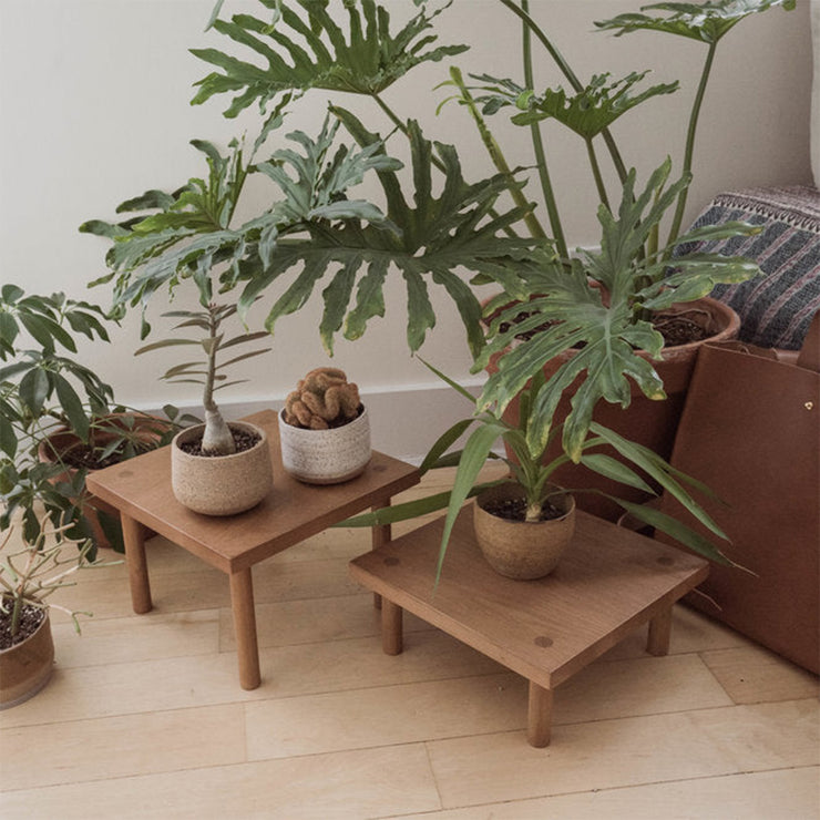 Yucca Low Stand